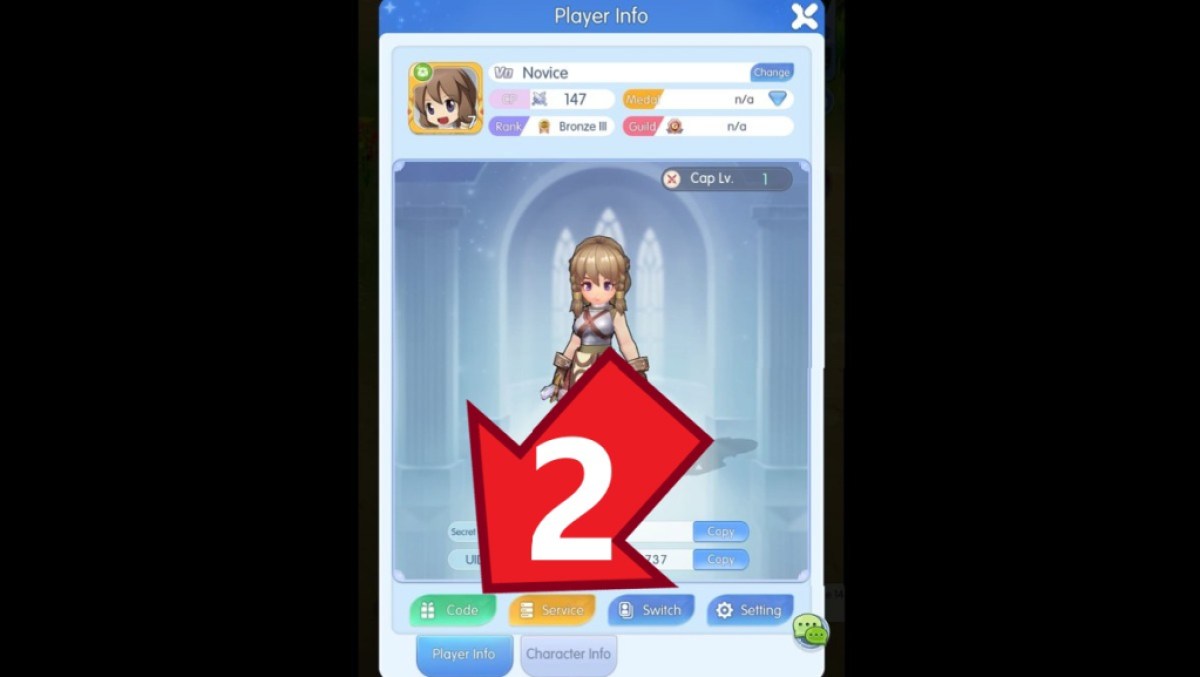 Ragnarok Idle Adventure Plus Code -Taste im Player -Info -Menü