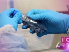 FDA stellt generative KI-Tool Elsa vorzeitig vor