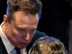 Elon Musk: „Ich war buchstäblich ein Narr“ in Aussage vor dem Kongress zu OpenAI