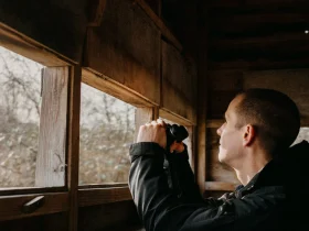 Wie KI die Vogelbeobachtung ruiniert: Risiken für Wildtiere und Hobbyisten